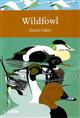 Wildfowl (New Naturalist 110)