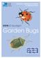 RSPB ID Spotlight - Garden Bugs