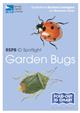 RSPB ID Spotlight - Garden Bugs