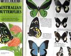 Australian Butterflies