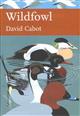 Wildfowl (New Naturalist 110)