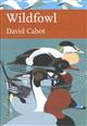 Wildfowl (New Naturalist 110)