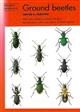 Ground Beetles: (Naturalists' Handbooks 8)