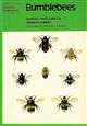 Bumblebees