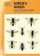 Solitary Wasps (Naturalists' Handbooks 3)