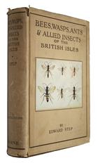 Bees, Wasps, Ants and Allied Insects of the British Isles