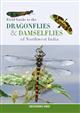 Field Guide to the Dragonflies & Damselflies of Northwest India