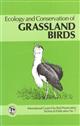 Ecology and Conservation of Grassland Birds