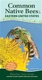 Common Backyard Bees of the Eastern United States: Your Way to Easily Identify Bees and Look-Alikes