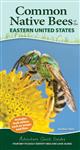 Common Backyard Bees of the Eastern United States: Your Way to Easily Identify Bees and Look-Alikes