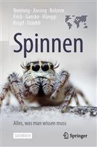 Spinnen: Alles, was man wissen muss