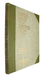 Birds' Eggs of the British Isles