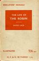 The Life of the Robin