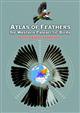 Atlas of Feathers for Western Palearctic Birds: V1 Passerines Concise Edition