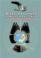 Atlas of Feathers for Western Palearctic Birds: V2 Non-Passerines Concise Edition