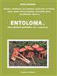 Entoloma s.l. Flora agaricina neerlandica, Vol. 1 (Supplement). Fungi Europaei 5B