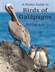 A Pocket Guide to Birds of Galapagos