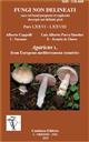 Fungi Non Delineati 76-78: Agaricus L. from European Mediterranean Countries