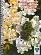 A Colour Guide to Pollen Loads of the Honey Bee