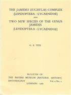 The Jamides euchylas complex (Lepidoptera: Lycaenidae) and Two new species of the genus Jamides (Lepidoptera: Lycaenidae)