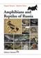 Amphibians and Reptiles of Russia