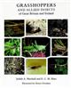 Grasshoppers and Allied Insects of Great Britain and Ireland