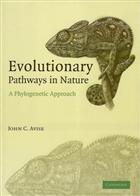 Evolutionary Pathways in Nature. A Phylogenetic Approach