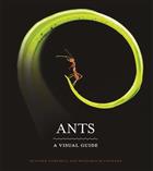 Ants: A Visual Guide