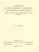 A Revision of the Subfamily Coelidiinae (Homoptera: Cicadellidae): Tribes Tinobregmini, Sandersellini and Tharrini