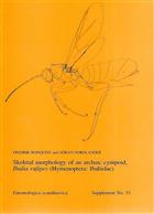 Skeletal morphology of an archaic cynipoid, Ibalia rufipes (Hymenoptera: Ibaliidae)  Entomologica Scandinavica Supplement 33