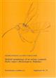 Skeletal morphology of an archaic cynipoid, Ibalia rufipes (Hymenoptera: Ibaliidae)  Entomologica Scandinavica Supplement 33