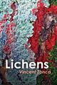 Lichens: Toward a Minimal Resistance