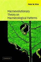 Macroevolutionary Theory on Macroecological Patterns