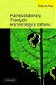 Macroevolutionary Theory on Macroecological Patterns