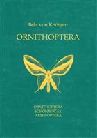 Ornithoptera: Ornithoptera, Schoenbergia, Aetheoptera