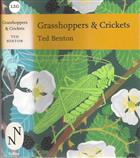 Grasshoppers and Crickets (New Naturalist 120)