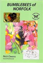 Bumblebees of Norfolk