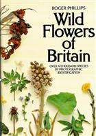 Wild Flowers of Britain