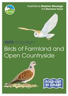 RSPB ID Spotlight - Birds of Farmland and Open Countryside