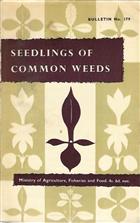 Seedlings of Common Weeds