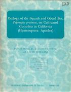 Ecology of the Squash and Gourd Bee Peponapis pruinosa, on cultivated Cucurbits in California (Hymonoptera, Apoidea)