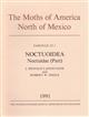 The Moths of America North of Mexico 25.1: Noctuidae: Plusiinae