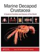 Marine Decapod Crustacea: A Guide to Families and Genera of the World