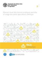 Manuel visuel des bonnes pratiques apicoles a l'usage des petits apiculteurs d'Afrique [Visual manual of good beekeeping practices for small beekeepers in Africa]
