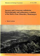 Jurassic and Cretaceous radiolarian biostratigraphy and sedimentary evolution of the Budva zone (Dinarides, Montenegro)
