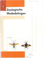 The New World Tarantula-hawk Wasp Genus Pepsis Fabricus (Hymenoptera: Pompilidae). Pt 3: The P. inclyta - to P. auriguttata-groups
