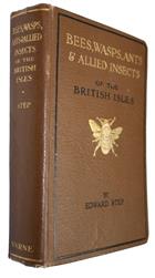 Bees, Wasps, Ants and Allied Insects of the British Isles