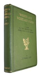 Wayside and Woodland Ferns: A Guide to the British Ferns Horsetails and Club-Mosses