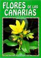 Flores de las Canarias