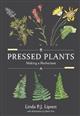 Pressed Plants: Making a Herbarium